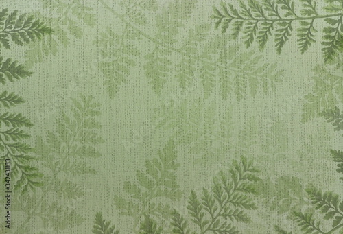 A close up color image of fern leaves and fern branches.