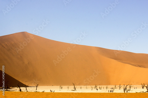 Biggest sand dune at Sossusvlei, Namibia scenic landscapes Namibia
