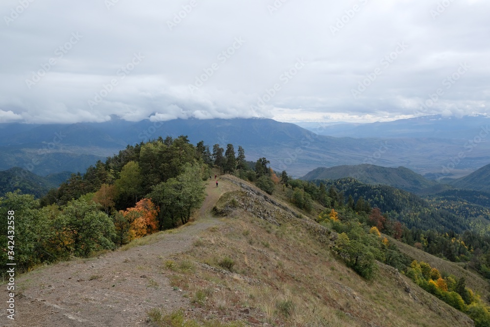 Fototapeta premium Beautiful mountain autumn views on the route from the Mt. Megruki peak to Atskuri. Borjomi-Kharagauli National Park, Borjomi, Georgia. 