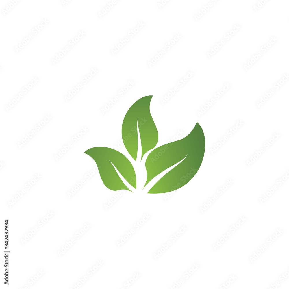 Leaf Logo Template vector symbol Leaf Logo Template vector symbol