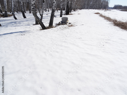 An old abandoned chair in the winter forest