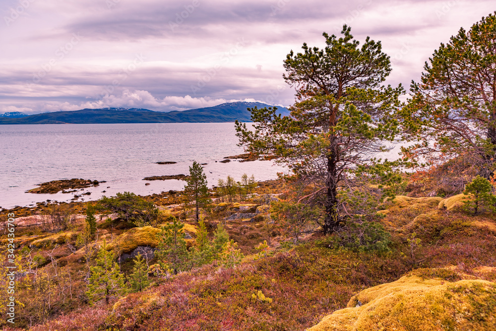 The Senja Island in Norway