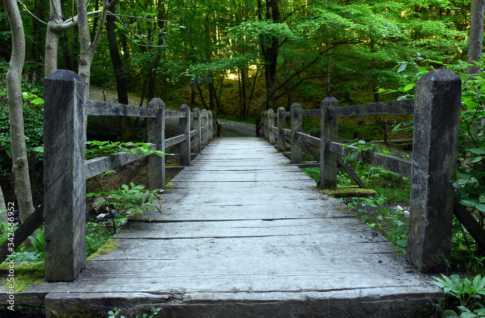 Old wooden bridge over creek in the spring forest.