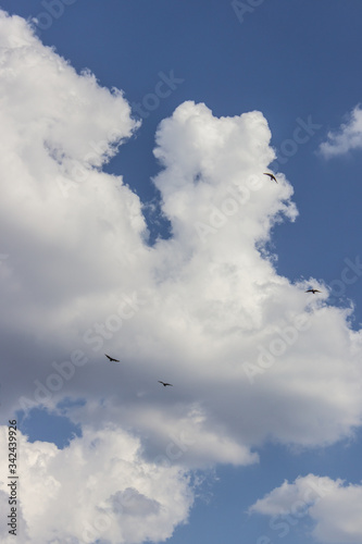 Blue sky with big white clouds and birds