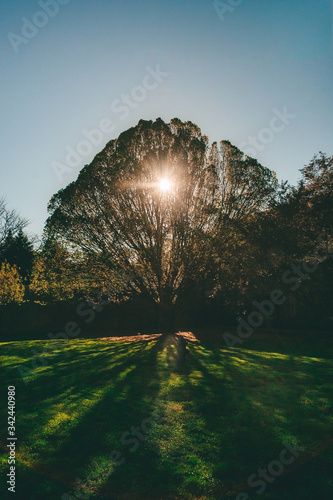 New York City, NY, USA - 04/24/2019: New York Botanical Garden in the Bronx