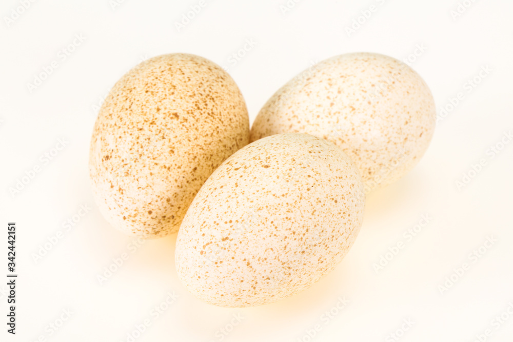 Three big raw turkey egg Three big raw turkey egg