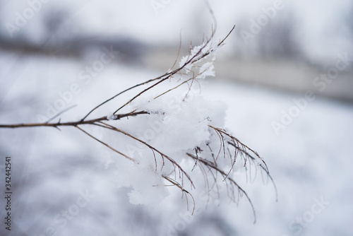 White, cold snow. Winter background. natural background