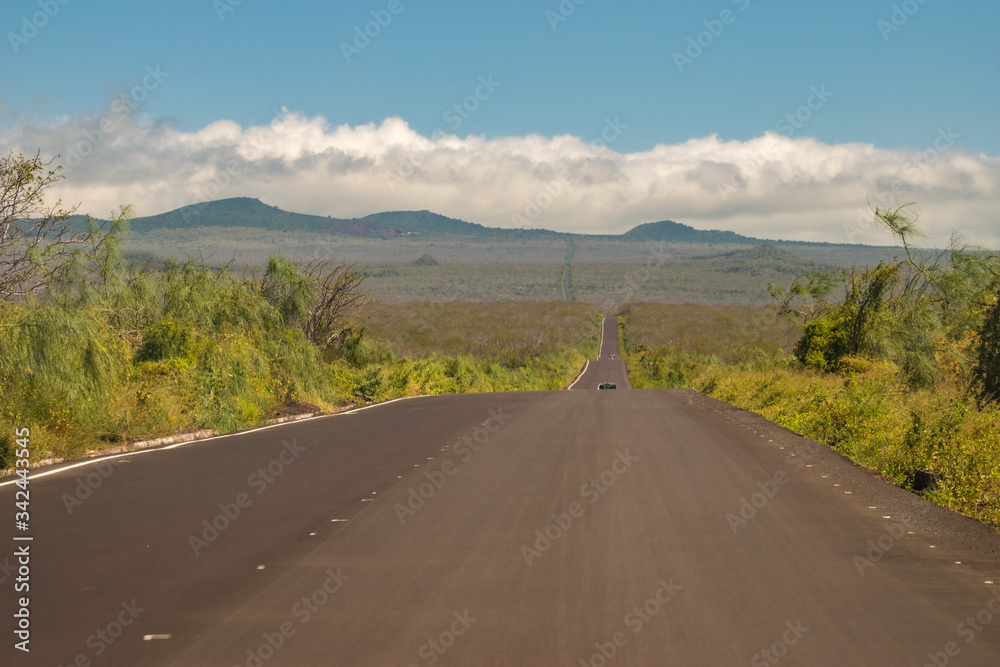 road to the mountains - Baltra - Galapagos - Santa Cruz - Ecuador