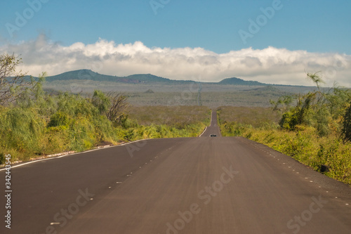 road to the mountains - Baltra - Galapagos - Santa Cruz - Ecuador photo