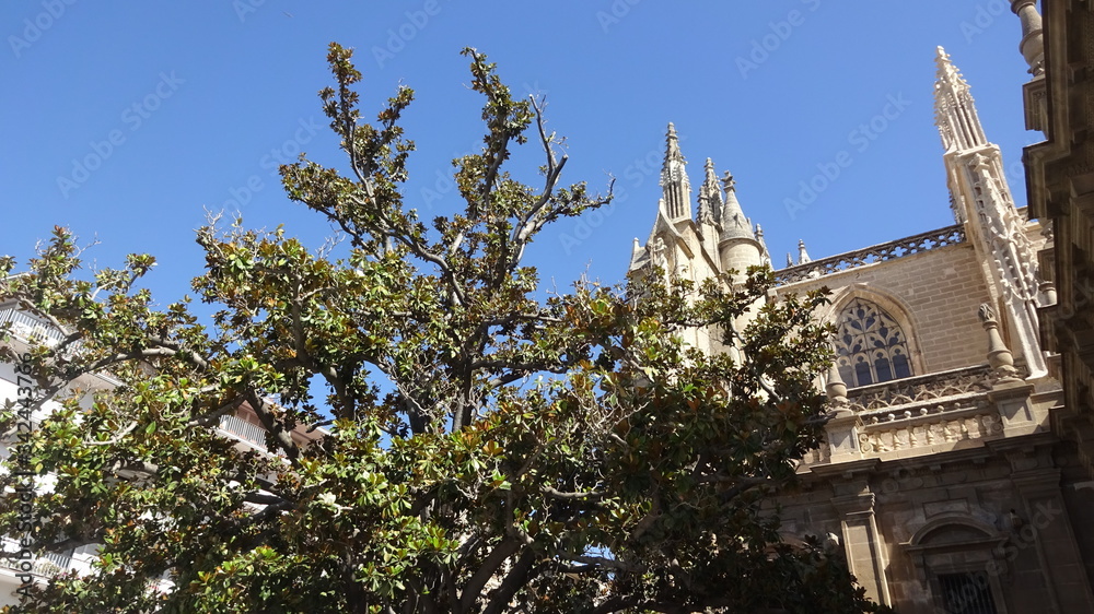 Seville is a stunning city in Andalusia, Spain Seville is a stunning city in Andalusia, Spain
