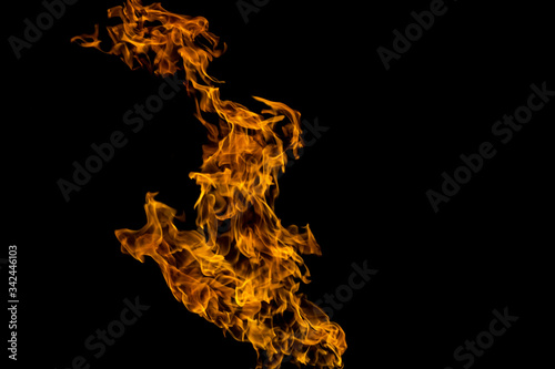 Fire patterns. Flames on a black background. Fiery patterns. Burning flame. Blazing fire. phoenix