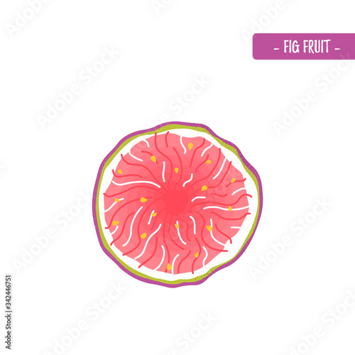 figs fruit in modern flat style