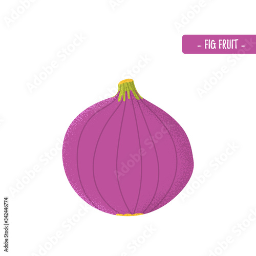 figs fruit in modern flat style