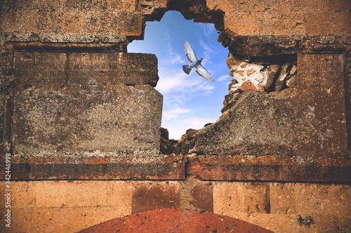 Ruined Medieval City Walls from Ani (Kars - Turkey)