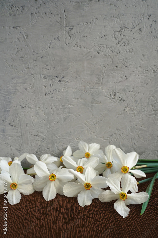 Beautiful bouquet of white daffodils on grey wooden background. Spring decoration. Free space Beautiful bouquet of white daffodils on grey wooden background. Spring decoration. Free space