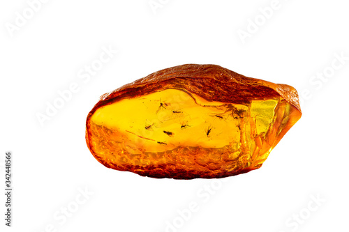 A magnificent piece of Baltic amber with prehistoric flies and insects that are many millions of years old. Isolated on white background. 