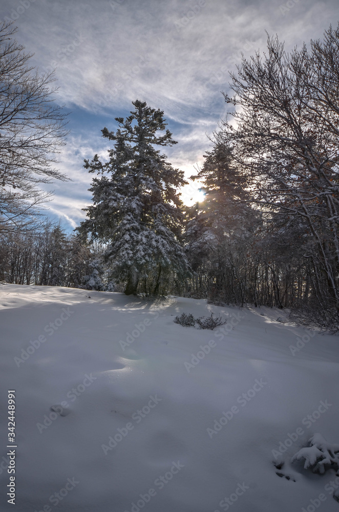 photography panoramas with snow in the national park with volcano streams and lake background photography panoramas with snow in the national park with volcano streams and lake background