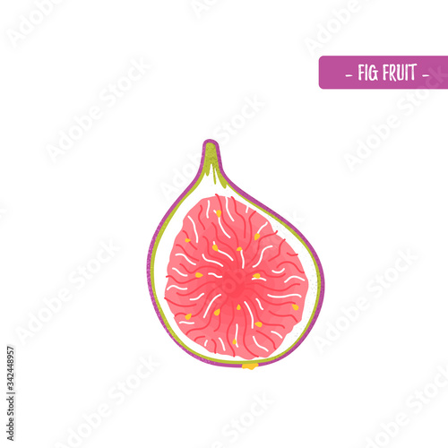 figs fruit in modern flat style