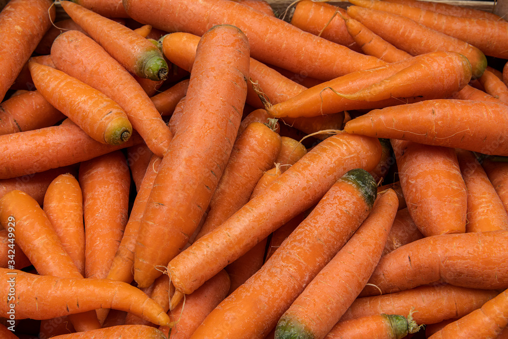 Fresh orange carrots as a background Fresh orange carrots as a background
