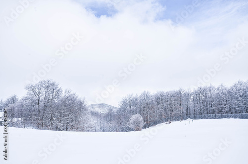 winter photography with cold ice and snow at minus 30 below 0 in the mountains © vincenzo