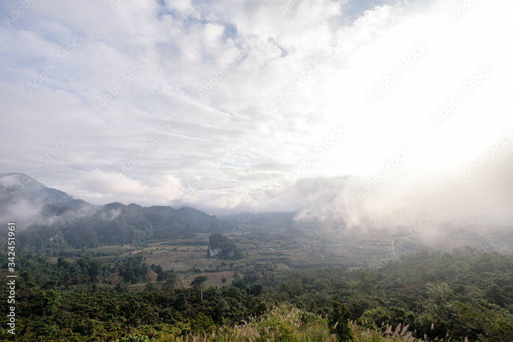 The fog viewpoint in the mountains of northern Thailand