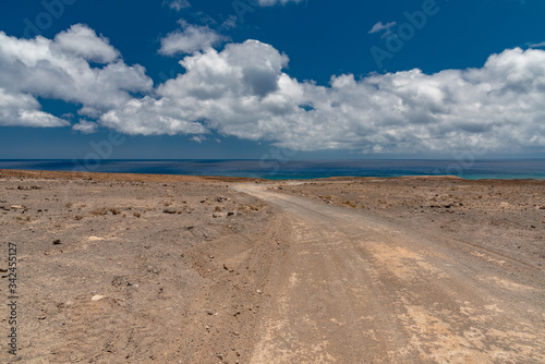 Fototapeta Naklejka Na Ścianę i Meble -  Cofete beach Canary Island of Fuerteventura
