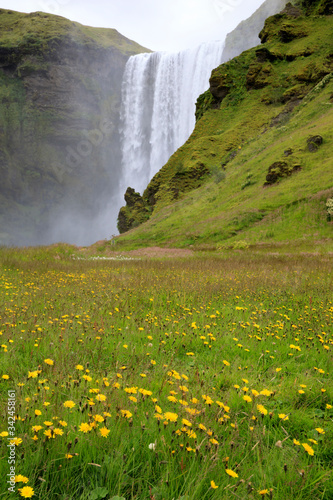 Skogafoss / Iceland - August 15, 2017: Beautiful and famous Skogafoss waterfall in South of Iceland, Iceland, Europe