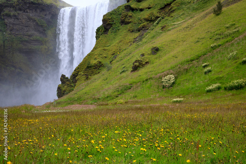 Skogafoss / Iceland - August 15, 2017: Beautiful and famous Skogafoss waterfall in South of Iceland, Iceland, Europe