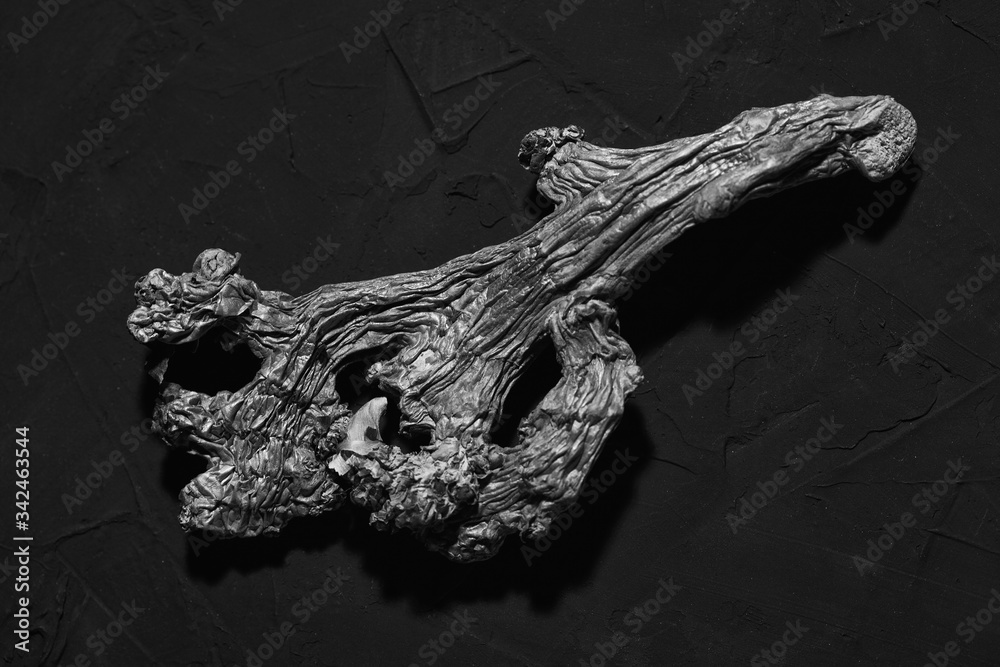 Dried up spoiled ginger root on a black background close up