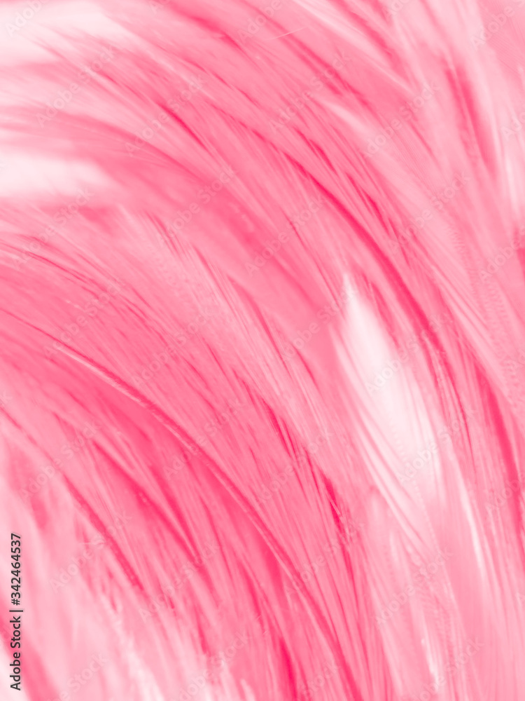 Obraz premium Beautiful abstract white and pink feathers on white background and soft white feather texture on pink pattern and pink background, feather background, pink banners