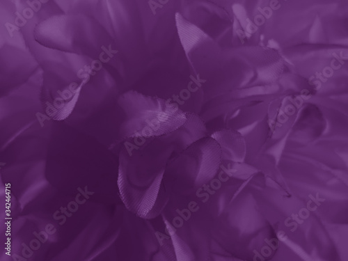 Beautiful abstract color blue and purple flowers on black background and pink graphic pink flower frame and pink leaves texture, purple background, colorful graphics banner 