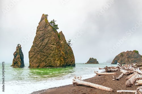 Foggy Rialto Beach in Olympic National Park.Clallam County.Washington.USA photo
