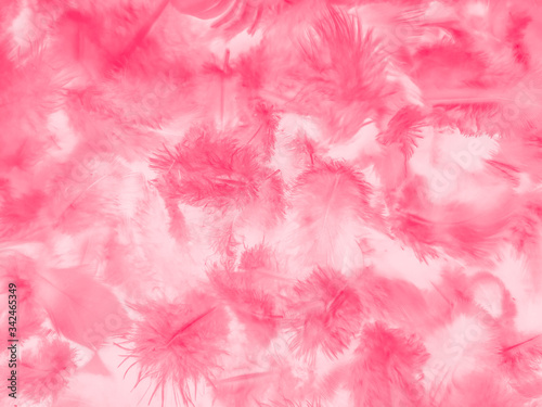 Beautiful abstract white and pink feathers on white background and soft white feather texture on pink pattern and pink background, feather background, pink banners