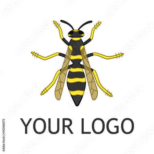 Cartoon style wasp logo template isolated illustration on white background