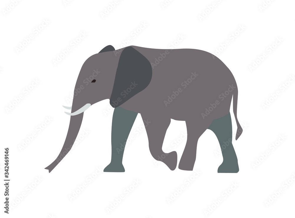 Walking Elephant simple Flat Vector Illustration
