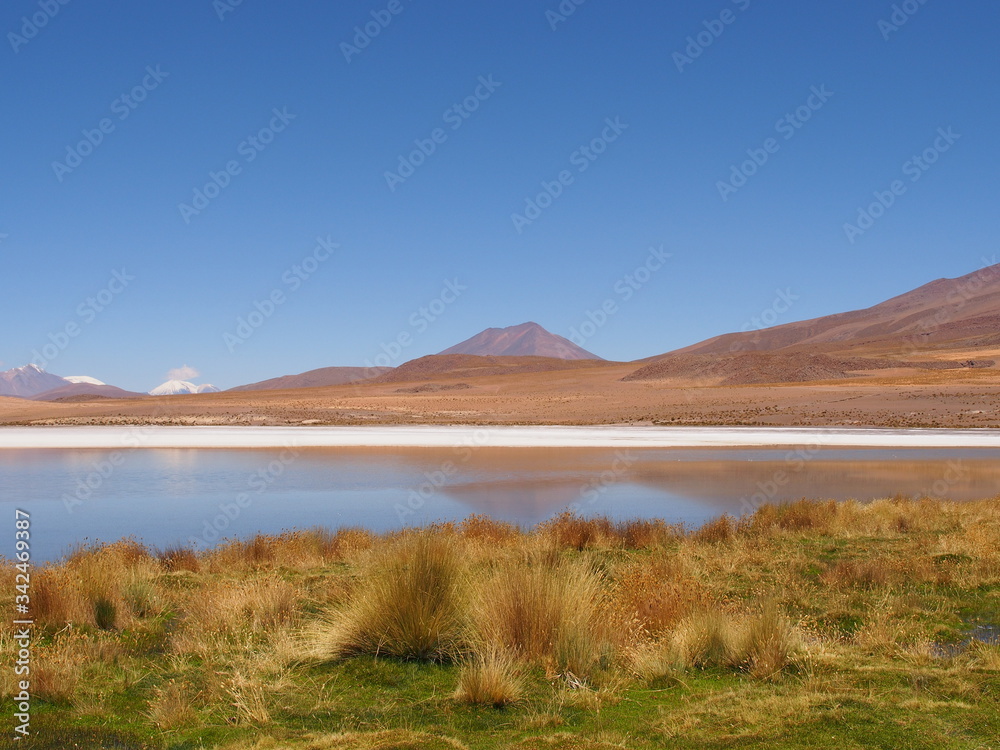 Green grass, laguna, mountains and salt lake, Altiplano, Bolivia. Copy space for text