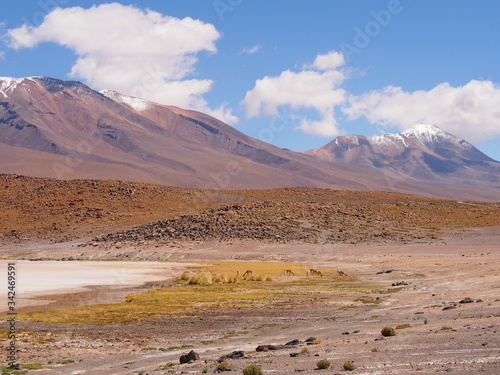 Green grass and snow covered mountains, Altiplano, Bolivia