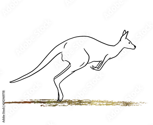 Simple line drawing illustration of kangaroo.