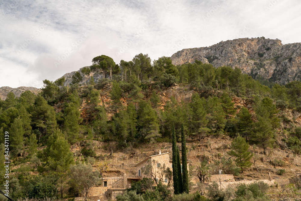 Spaniens Bergwelt mit Olivenhainen