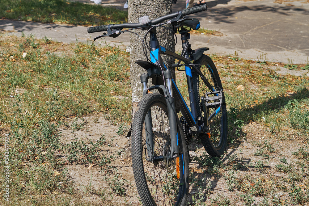 bike near the tree in the park