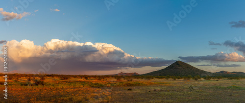 Fototapeta Naklejka Na Ścianę i Meble -  Panoramic image of the Sonoran Desert of Arizona during sunset with distant rain and blue skies.