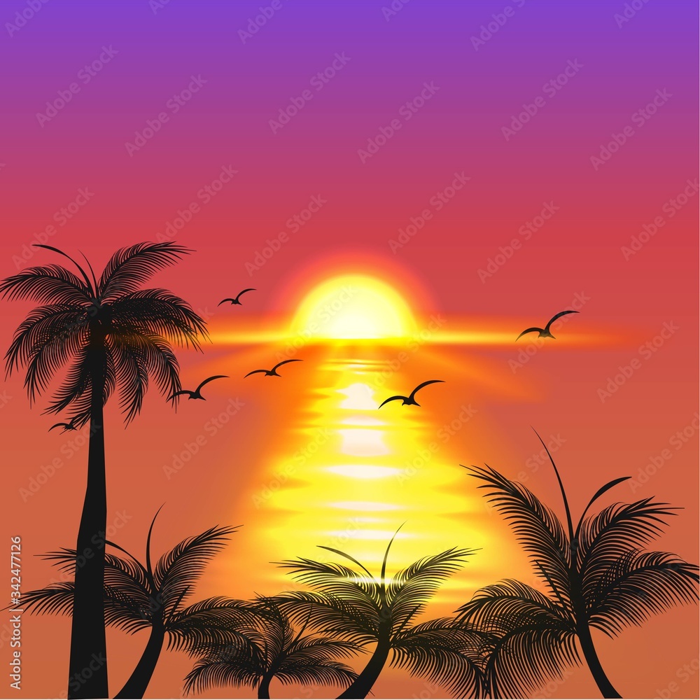 Dark palm trees silhouettes on colorful tropical ocean sunset background, vector illustration