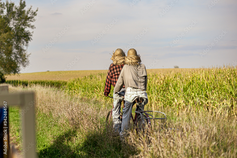 Obraz premium two people biking through a corn field