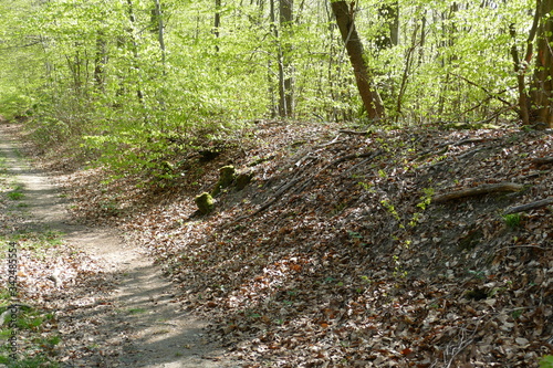 Limeswall neben Feldweg bei Anhausen im Westerwald