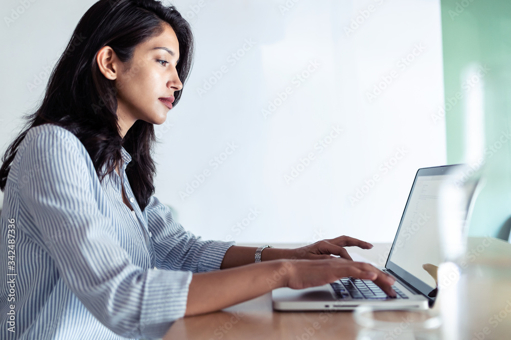 Elegant young business woman working with her laptop in the office. Elegant young business woman working with her laptop in the office.