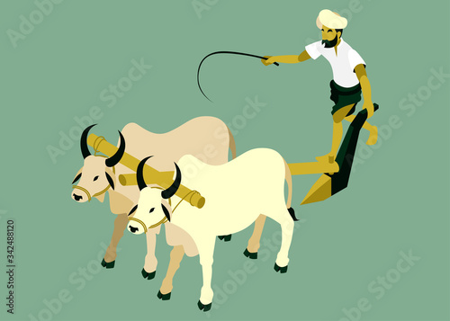 Isometric Vector Illustration Representing An Indian Farmer is Plowing a Field with Two Cows