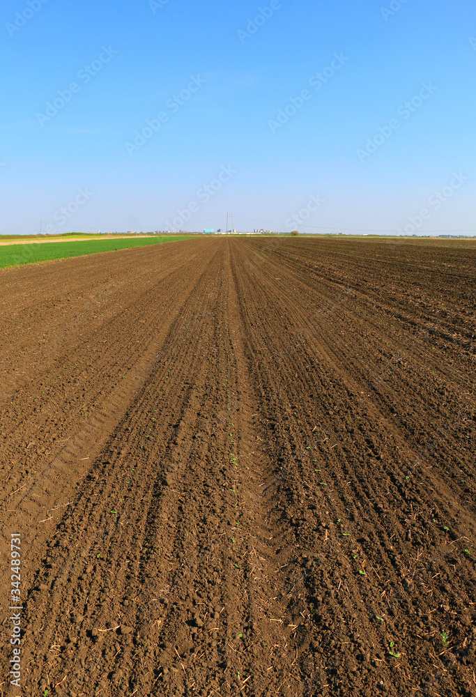 Plowed field in spring time with blue sky Plowed field in spring time with blue sky