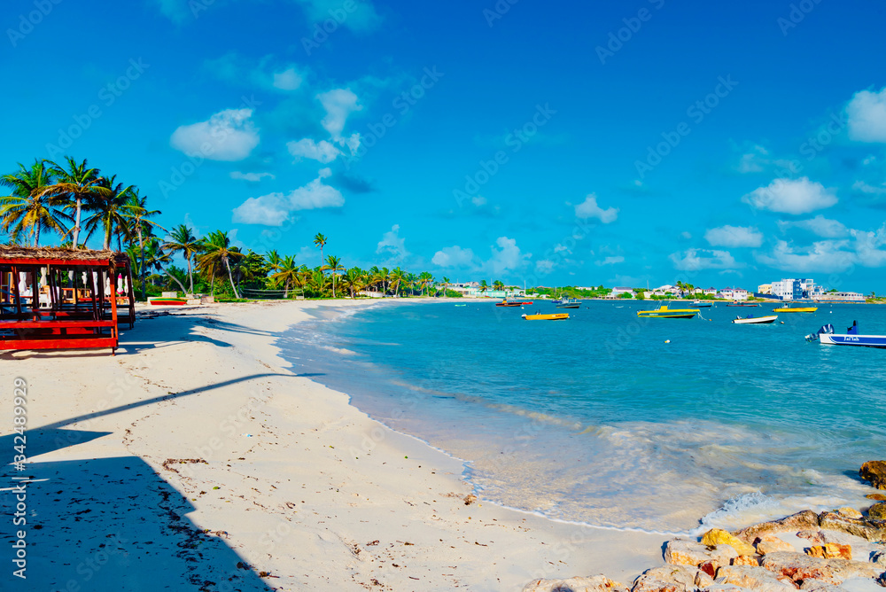 Naklejka premium Caribbean island of Anguilla with palm trees and white beaches