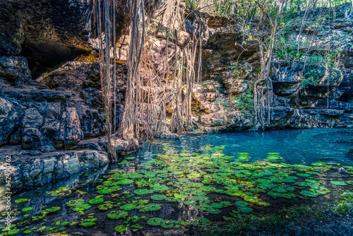 Cenote Ikkil 
Chichenitza, Mexico photo