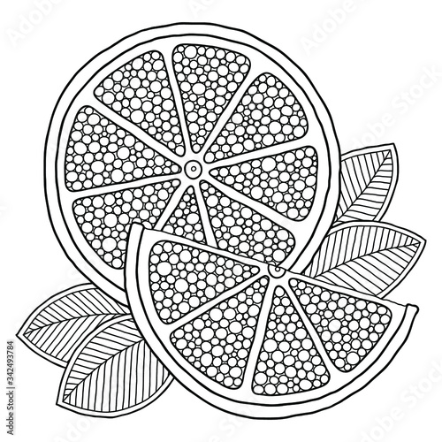 Coloring book page  with outlines of orange.